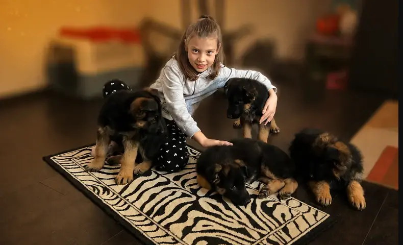 Bambini e il Pastore Tedesco