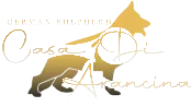 Casa Arancina
